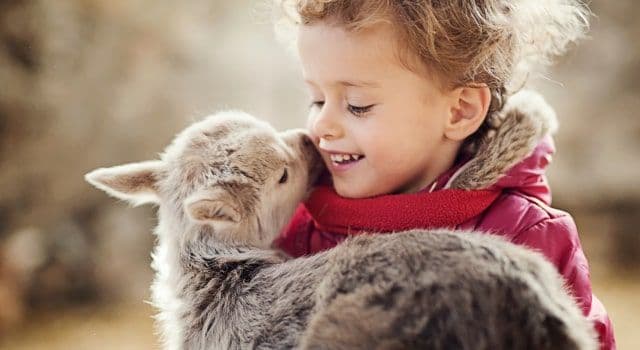 Perguntas Frequentes