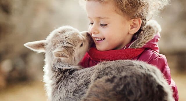 Rações de qualidade para Animais da Quinta mais produtivos e felizes!